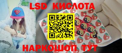 mdpv Ярославль