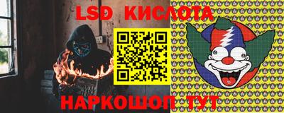 гашик Шелехов