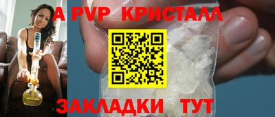 гашик Шелехов