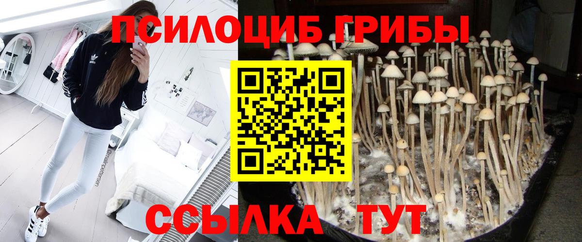 Галлюциногенные грибы Psilocybe  магазин  наркотиков  Фурманов  Галлюциногенные грибы ЛСД  Вход с VPN 